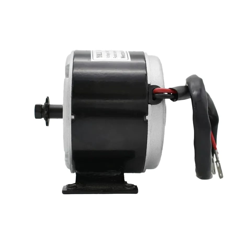36V Motor