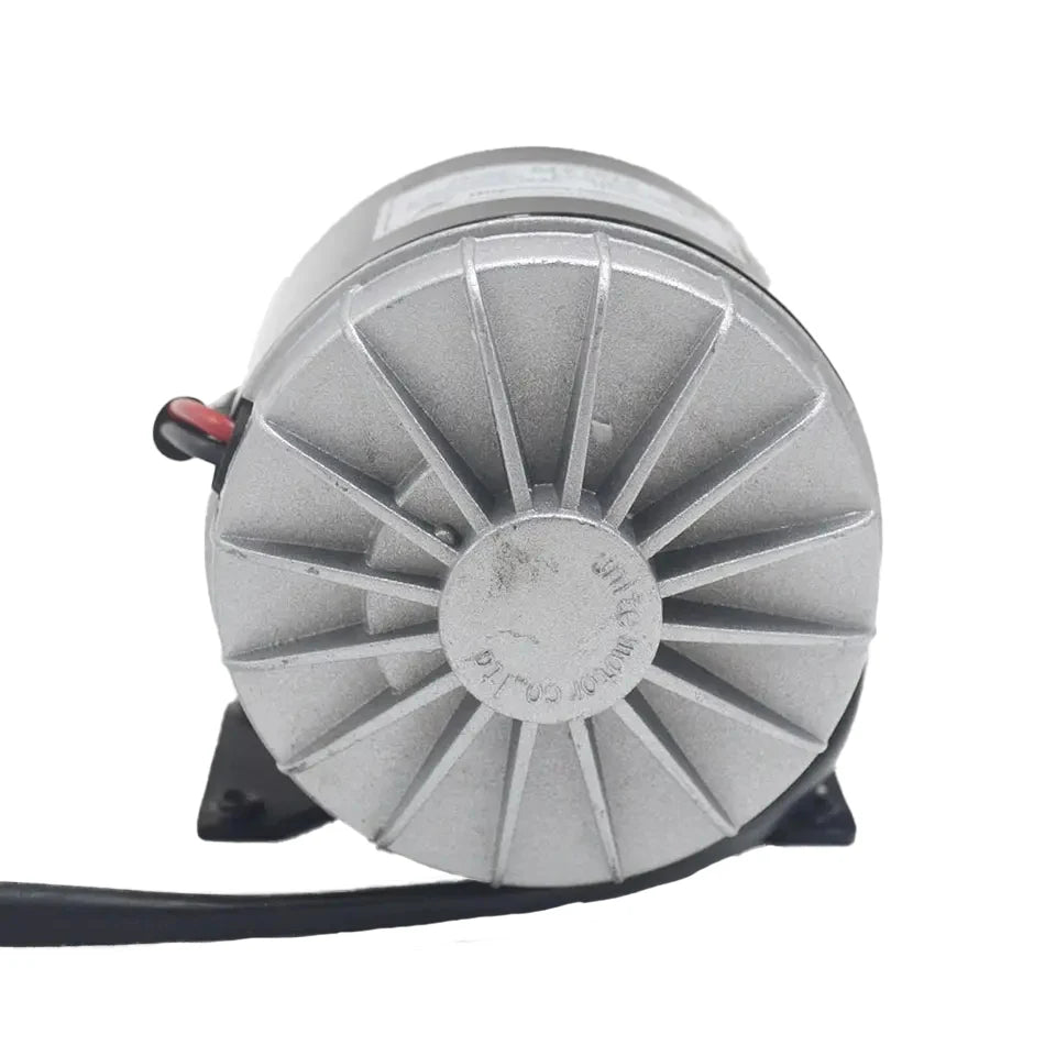 36V Motor