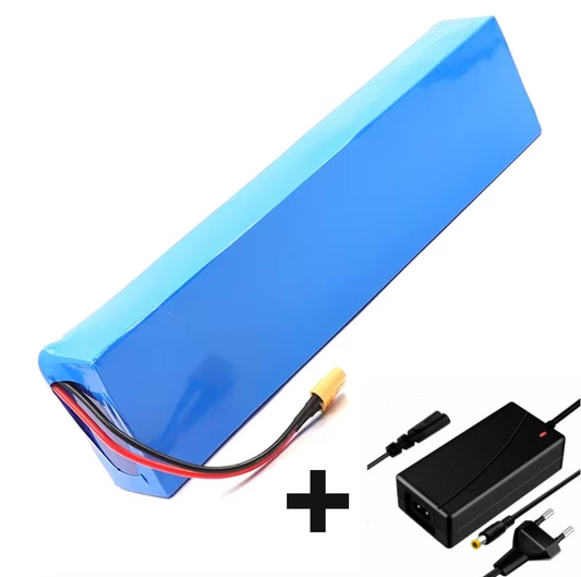 48V Battery + Charger